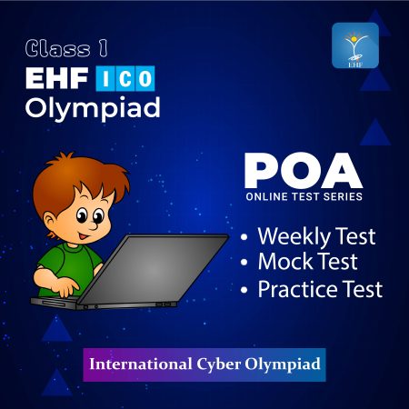 International Cyber Olympiad (ICO)