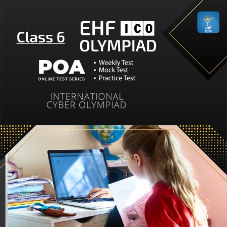 International Cyber Olympiad (ICO)