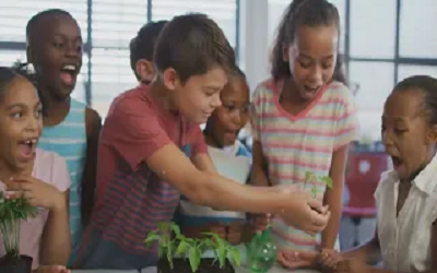 Class 1 Biotechnology Olympiad Workbook