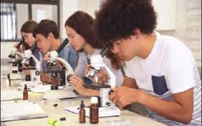 Class 5 Biotechnology Olympiad Workbook