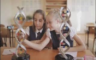 Class 6 Biotechnology Olympiad Workbook