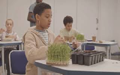 Class 7 Biotechnology Olympiad Workbook