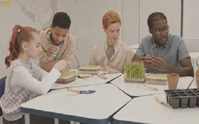 Class 10 Biotechnology Olympiad Workbook