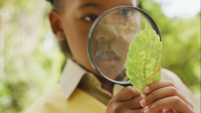 Class 5 Maths Olympiad Activity Book