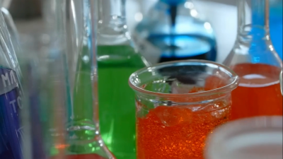 Class 2 Science Olympiad Activity Book