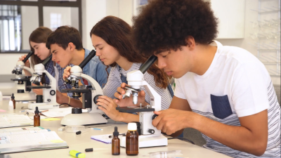 Class 2 Cyber Olympiad Workbook