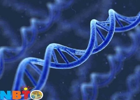 BIOTECHNOLOGY OLYMPIAD CLASS 1