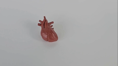 Human Biology Foundation: Class 7 For Olympiads/IIT/ NEET