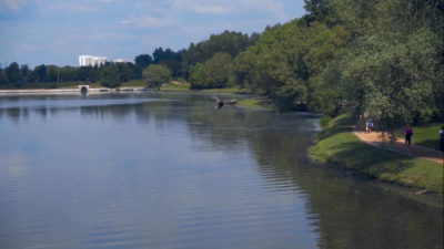 English Foundation: Class 1 For Olympiads