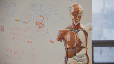 Biology (Human Body) Foundation: Class 4 - 8 For Olympiads/IIT/ NEET